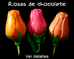 Flores de chocolate