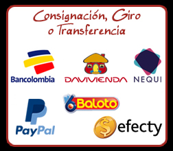 Solicitar Información Pago Consignación