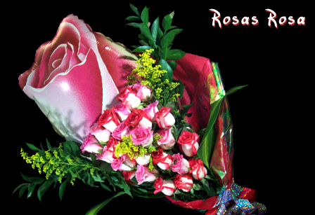 Rosas en Bogotá