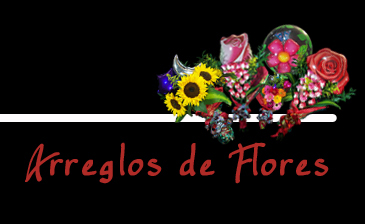 Flores por internet